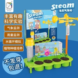 探索大自然的氣息 風(fēng)向標(biāo)氣象科學(xué)實(shí)驗(yàn)玩具的魅力